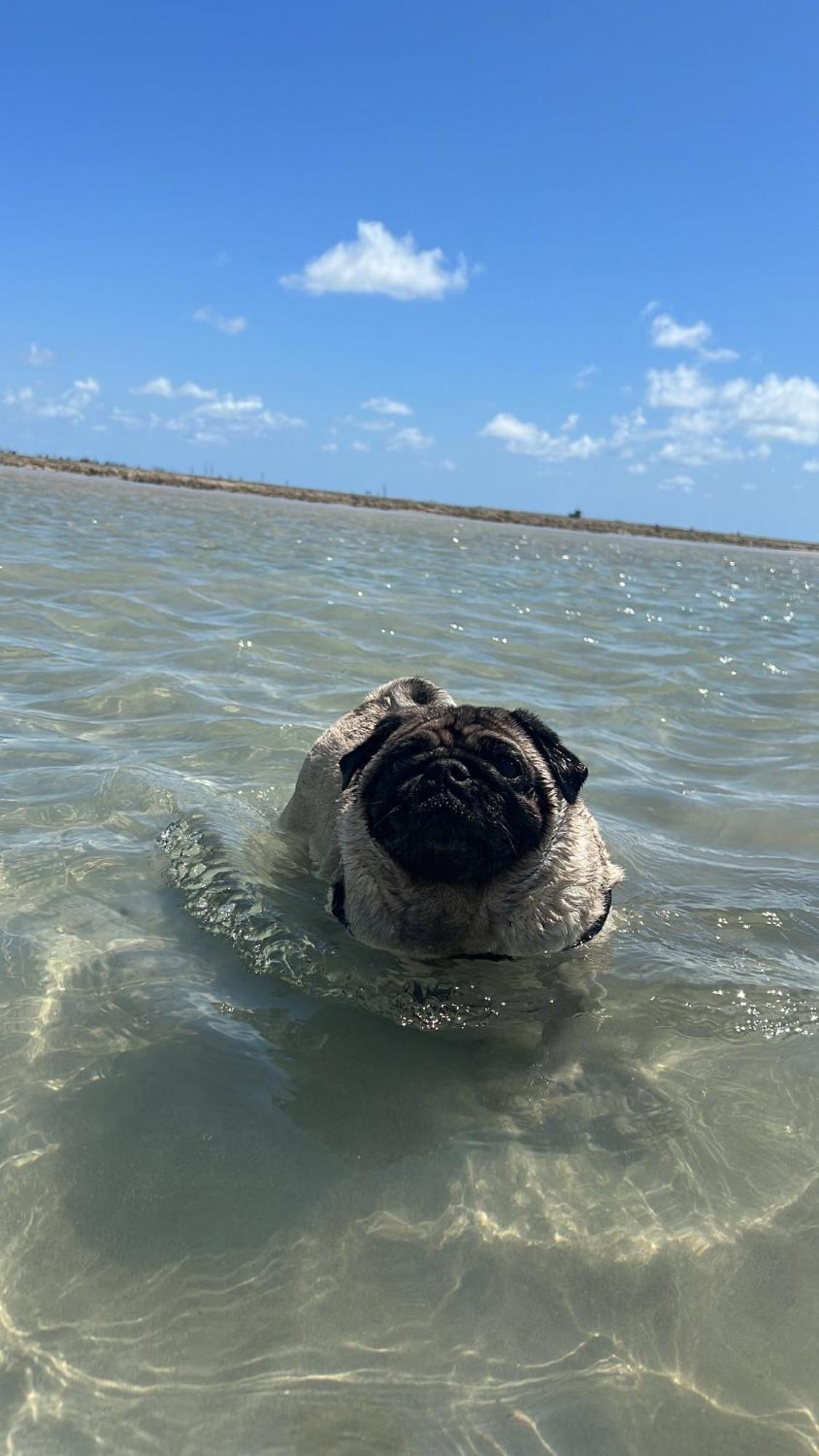 Сasa de vacaciones Casa